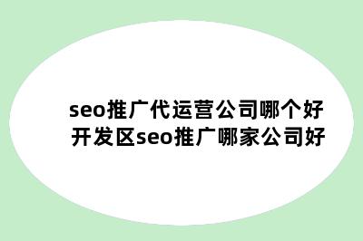 seo推广代运营公司哪个好 开发区seo推广哪家公司好